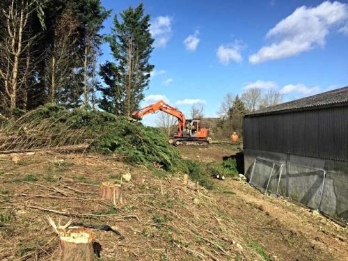tree-management-1
